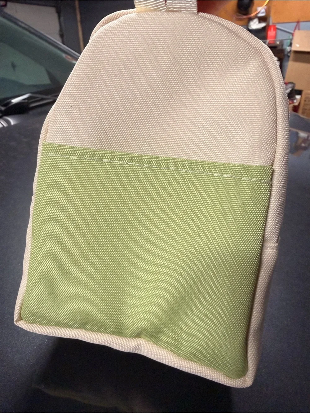 Cream and Light Green Pet Carrier Tote with Bubble Window